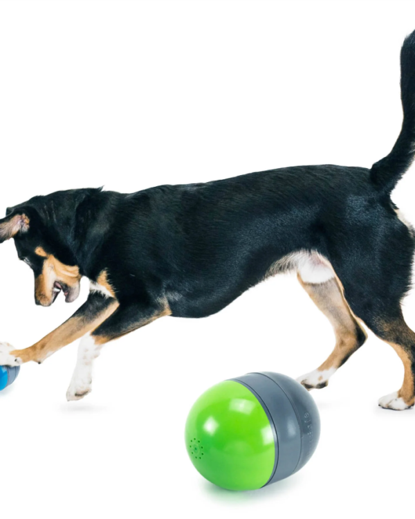 Ricochet Electronic Dog Toy